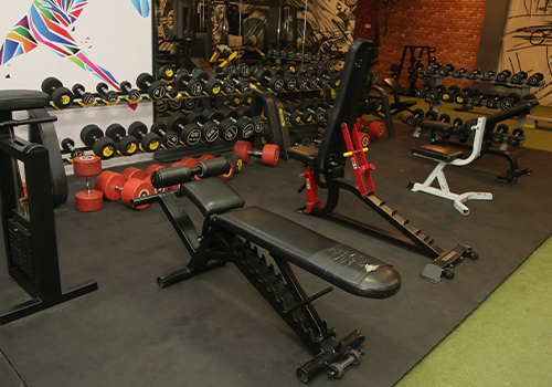 Weight Training Section