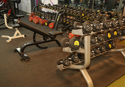Weight Training Section
