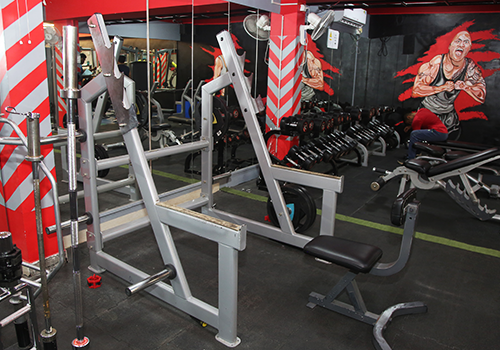 Weight Training Section